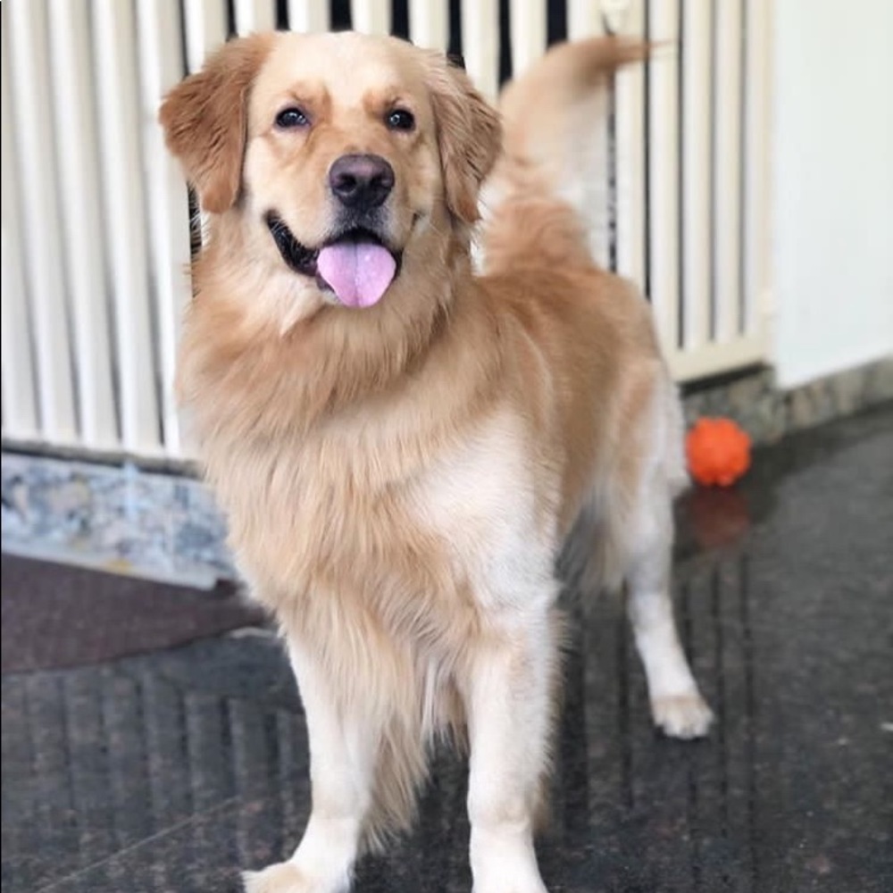 Meet your Posher, Ashritha